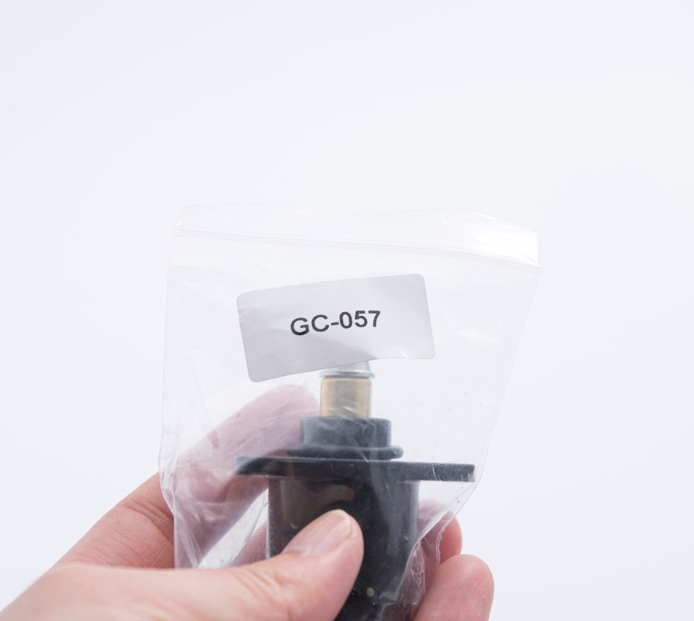 Idle Air Control Valve 19202Q B1700 for Citroen Peugeot